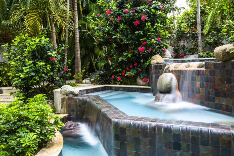 fern-tree-spa-2